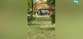 АГРЕСИЯ: Група младежи рита възрастен мъж в парк в Пловдив (ВИДЕО)