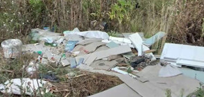 500 лв. награда: Издирват човек, хвърлил боклука си край Тутракан