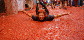 Испания е в трескава подготовка за "Томатина"