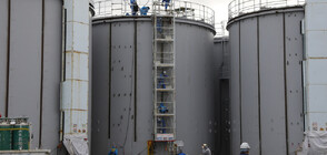 11 ГОДИНИ СЛЕД АВАРИЯТА ВЪВ ФУКУШИМА: Вдигнаха забраната за евакуация на градчето