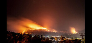 СЛЕД НЕВИЖДАНИ ЖЕГИ: Горски пожари бушуват в Централна Испания (ВИДЕО)