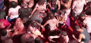 БОЙ С ДОМАТИ: Атрактивен фестивал в Испания се завърна след 2-годишна пауза (ВИДЕО)