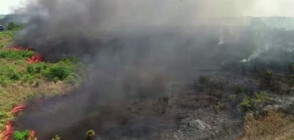 АМАЗОНИЯ ГОРИ: Пожарите в района са най-големите от десетилетие насам (ВИДЕО)