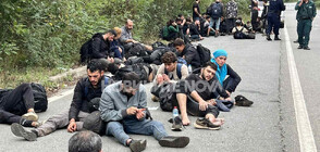 Заловиха 50 мигранти на главен път в Бургаско (ВИДЕО+СНИМКИ)