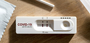 COVID-19: 12,7% от тестваните са дали положителен резултат