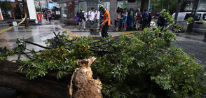 Тайфунът "Хинамнор" остави 20 000 жилища без ток в Южна Корея (ВИДЕО)