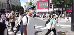 Кой е японецът, когото наемат, за да "не прави нищо" (ВИДЕО)