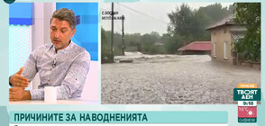 Експерти: Винаги, когато има сеч, това допринася за влошаване на ситуацията