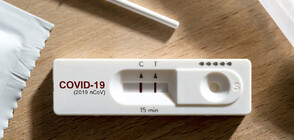 11,5% от тестваните са дали положителен резултат за COVID-19