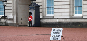 Бъкингамският дворец отмени смяната на караула