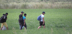 Представят резултатите от проучване на нагласите към бежанците