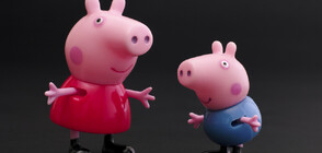Политик поиска анимацията "Прасето Пепа" да бъде забранена в Италия