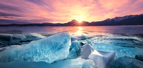 Учени развенчаха най-северния остров в света