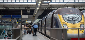 Нидерландските железничари отмениха общата стачка