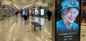 Ликът на кралица Елизабет II - на билбордове в цяла Великобритания (ВИДЕО)