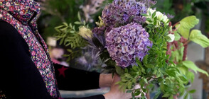 Любимите цветя на покойната кралица Елизабет II (ВИДЕО)