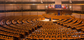 Дебатът в ЕП за ареста на Бойко Борисов не се състоя