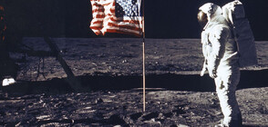 Какво гласи посланието на Елизабет II, отнесено от Армстронг на Луната