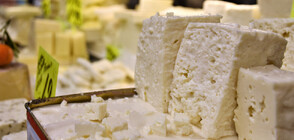 Най-скъпото сирене у нас се продава във Враца (ВИДЕО)