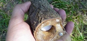 „Илта Саномат“: Руските туристи крият парите си в горите във Финландия (ВИДЕО)