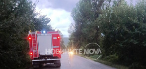 Двама тийнейджъри загинаха при тежка катастрофа край Стражица (СНИМКИ)
