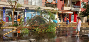 БЕДСТВИЕТО: Четирима пострадали при потопа, който отнесе Бургаско (ВИДЕО)