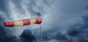 Ураганен вятър нанесе сериозни щети и в Русе