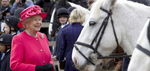 КРАЛИЦАТА И СПОРТЪТ: Елизабет II бе фен на конните надбягвания, не харесваше тениса (ВИДЕО)