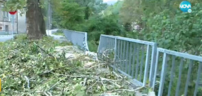 Отнесени покриви, премазани коли и десетки паднали дървета в Родопите