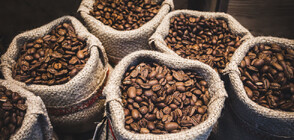 Блумбърг: Запасите от кафе в Бразилия доближават исторически минимум