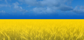 След споразумението: Украйна е изнесла близо 4 млн. тона земеделска продукция