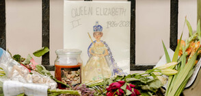 Цветята, оставени в знак на почит към кралица Елизабет Втора, ще бъдат компостирани
