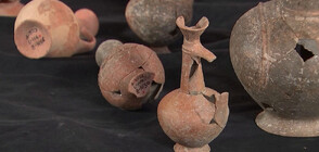 Откриха опиум от 14 век пр.н.е. в Израел (ВИДЕО)