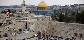 Почистиха от молитвени бележки Стената на плача в Йерусалим (ВИДЕО)