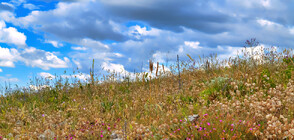 Какво време ни очаква до края на седмицата