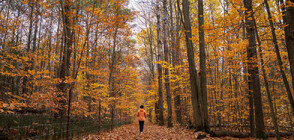 Настъпи астрономическата есен