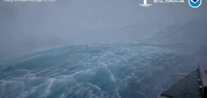 КАДРИ ОТ ДРОН: 15-метрови вълни, предизвикани от урагана "Фиона" (ВИДЕО)