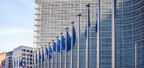 ЕК: Правата на търсещите убежище остават в сила за руснаците