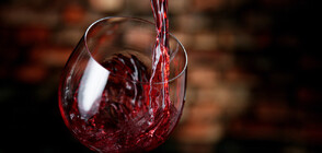Градушки и високи сметки вдигат цената на виното (ВИДЕО)
