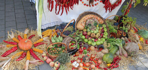 „Рогът на изобилието” се изсипа на Празника на плодородието в Кюстендил (ВИДЕО)