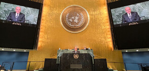 Пред Общото събрание на ООН: България осъди референдумите в Украйна