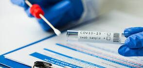 685 са новите случаи на COVID-19 у нас