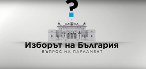 Звездите на България призовават: Гласувайте!