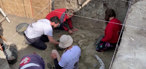 Откриха останки от слон на 12 000 години (ВИДЕО)