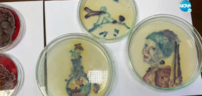 Студенти по медицина с изложба на уникални рисунки с микроби