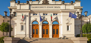 Parliamentary vote in Bulgaria: 7 parties enter 48th National Assembly