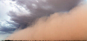 Мощна пясъчна буря връхлетя Аризона (ВИДЕО)