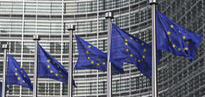 Bulgarian MEPs sign joint declaration on Schengen accession