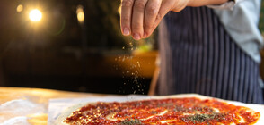 Пицари от цял свят мерят сили в международен шампионат