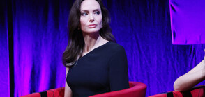 Анджелина Джоли заведе дело за домашно насилие срещу Брад Пит (ВИДЕО)
